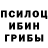 Псилоцибиновые грибы Psilocybe Hernia de Rata