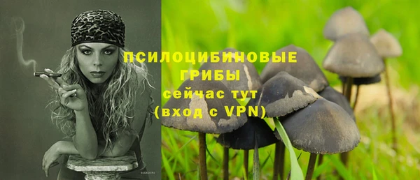 ECSTASY Арсеньев