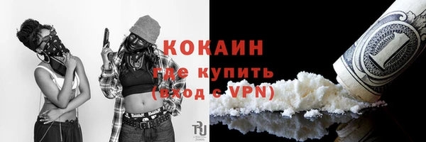 стаф Аркадак