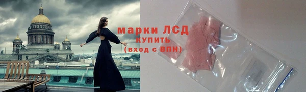 стаф Аркадак