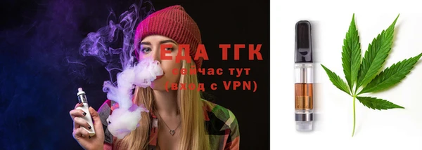 стаф Аркадак