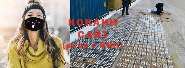 стаф Аркадак