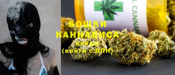 стаф Аркадак